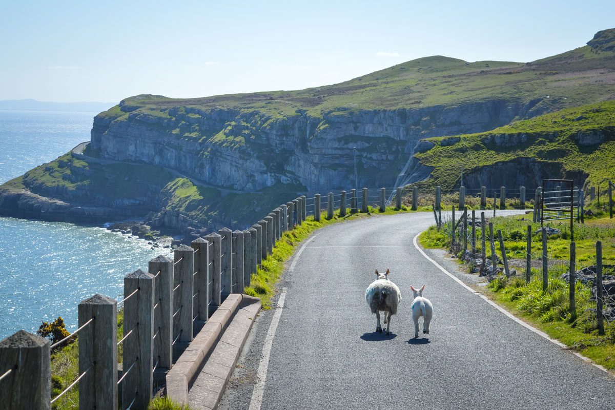 Great Orme Country Park
