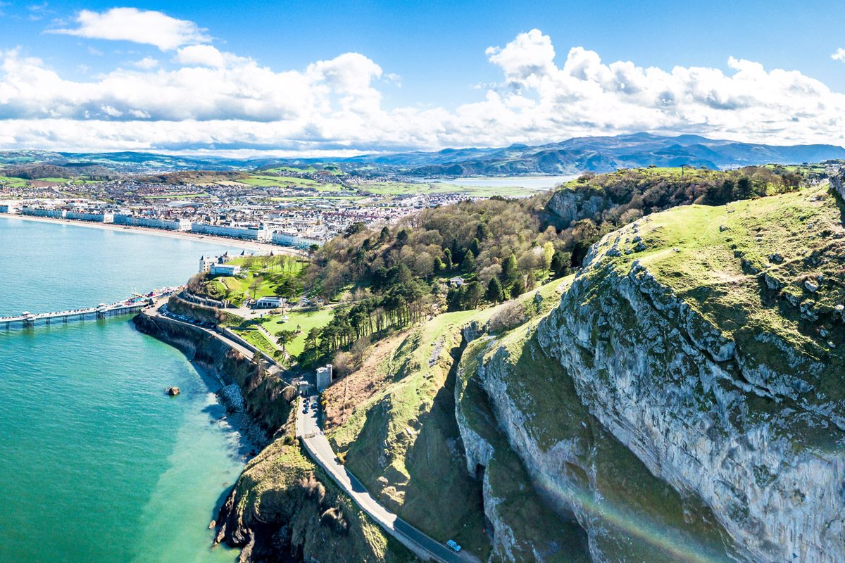 Great Orme Wildlife & Nature
