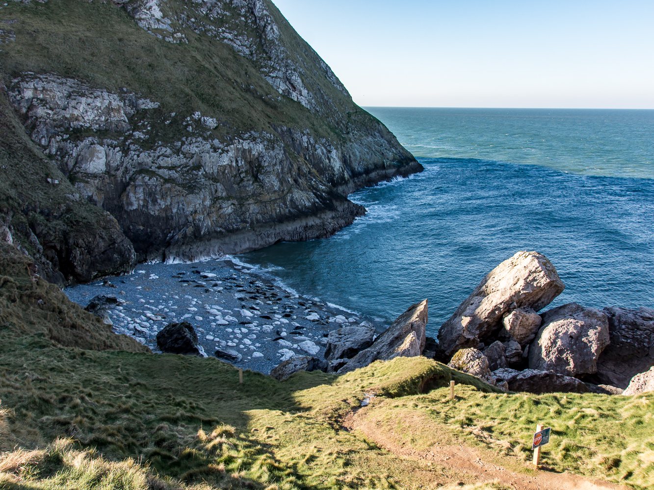 Atlantic grey seals hauled out on the shingle at Angel Bay, seen from the clifftop path on the Little Orme near Llandudno