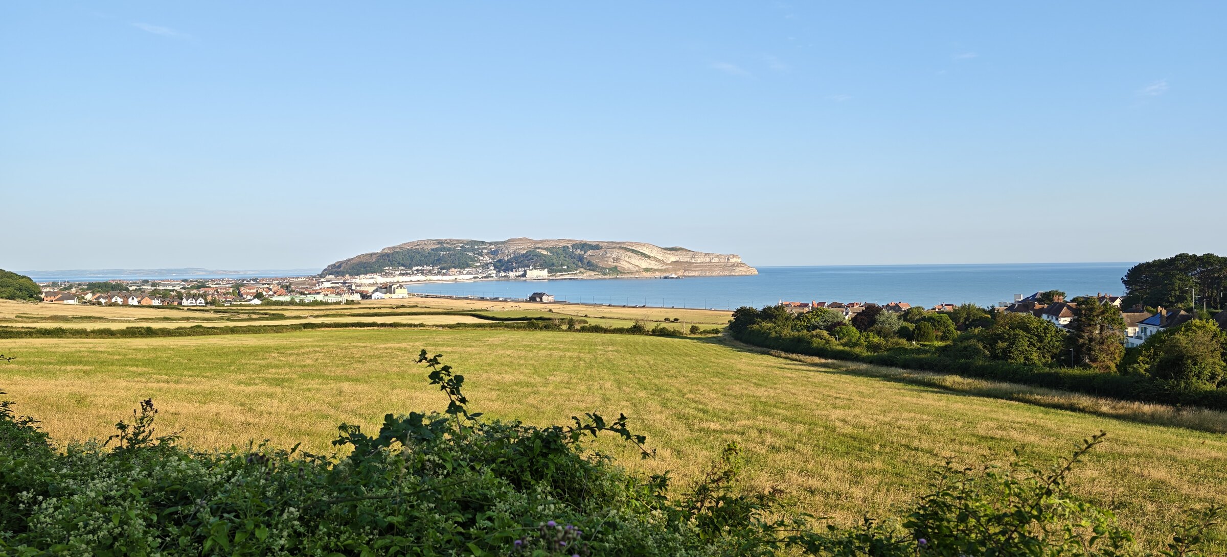 Offers and direct booking advantages at The Rosedene, Llandudno